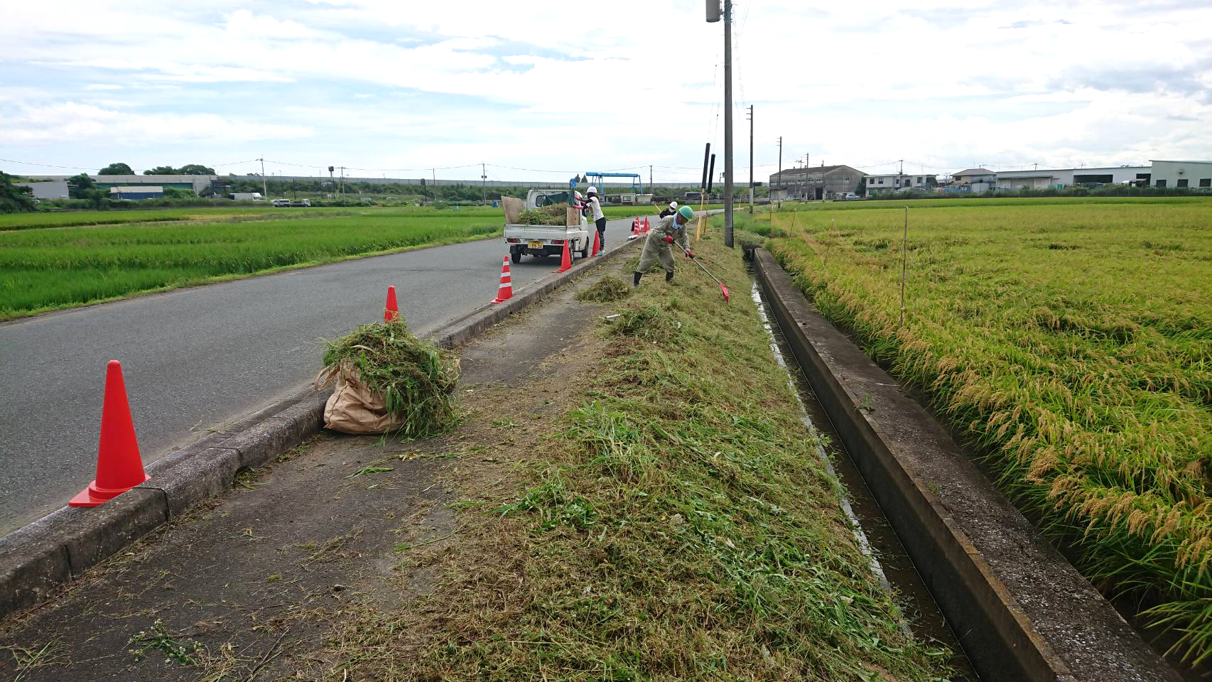 道路際草刈り
