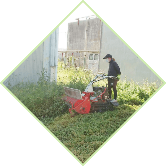 メインビジュアル