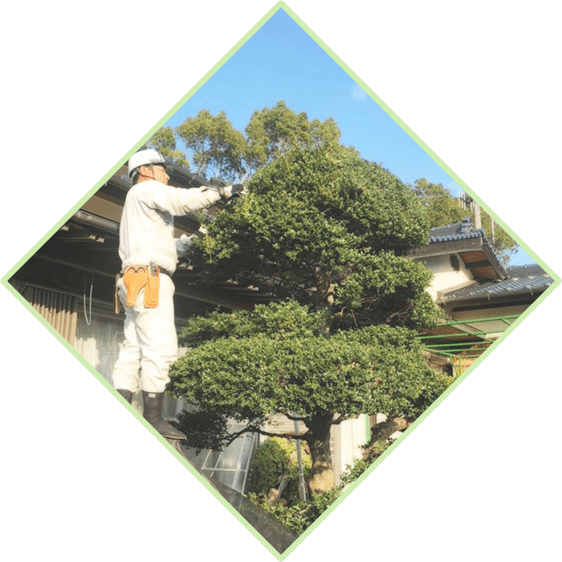 メインビジュアル