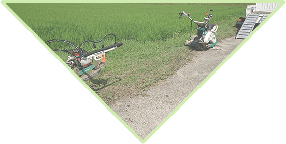 メインビジュアル