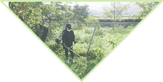 メインビジュアル