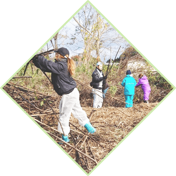 メインビジュアル