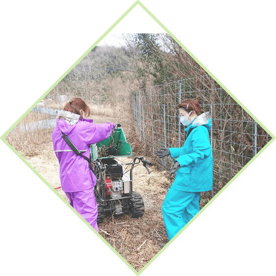 メインビジュアル