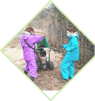 メインビジュアル