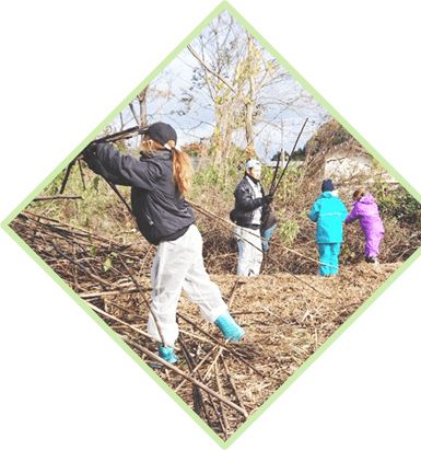 メインビジュアル